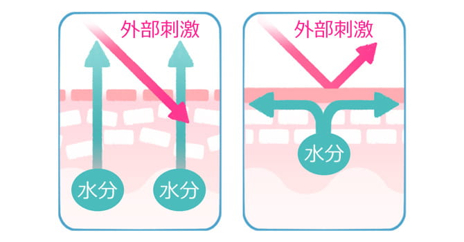 バリア機能の低い肌とバリア機能の高い肌